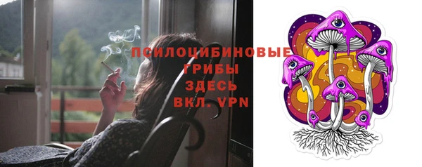 сатива Козловка