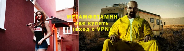 сатива Козловка