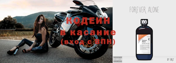 сатива Козловка