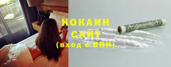 сатива Козловка