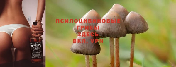 меф Козельск