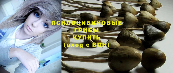 герыч Кодинск