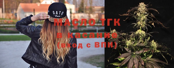 сатива Козловка