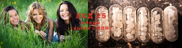 сатива Козловка