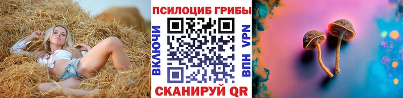 Псилоцибиновые грибы GOLDEN TEACHER  Купить где  Белая Холуница 